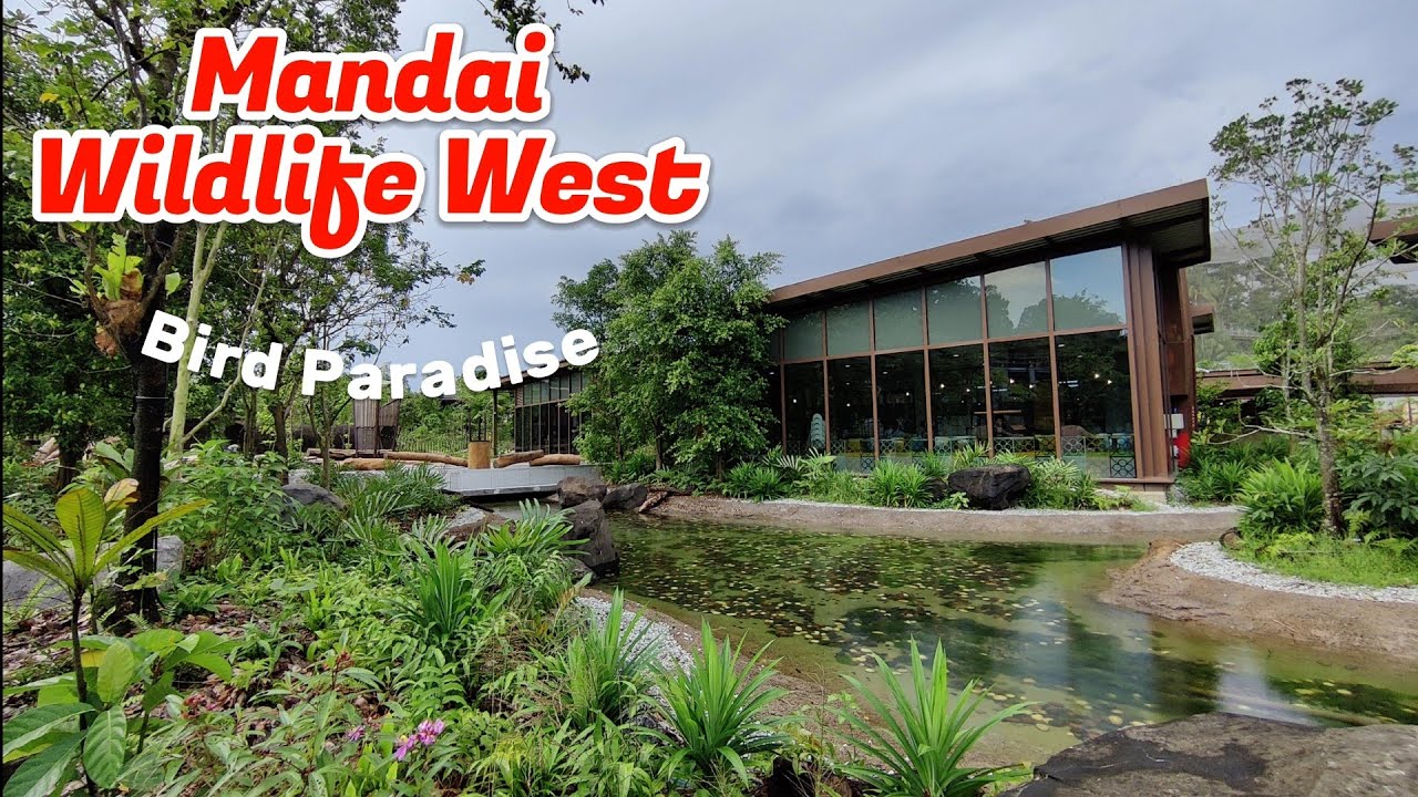 Mandai Wildlife West: A Culinary Adventure